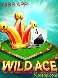 Descubra o Mundo de WildAce: O Jogo que Está Conquistando a 78BR APP